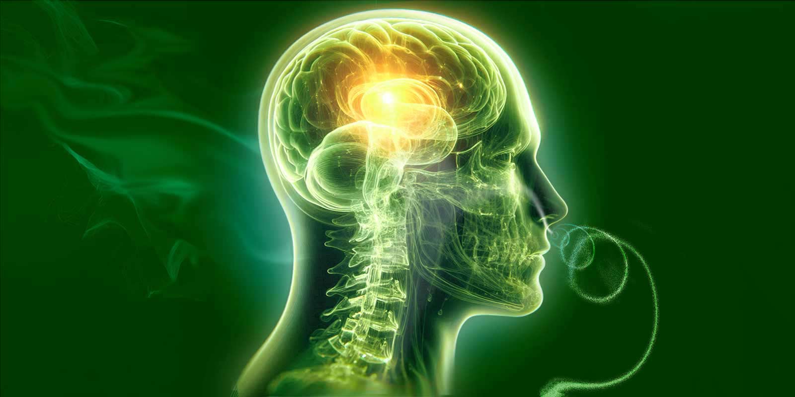 BRAIN FOG – A NON-MEDICAL CONDITION THAT REQUIRES AN OVERKILL, Self-healing, regenerate, breathing