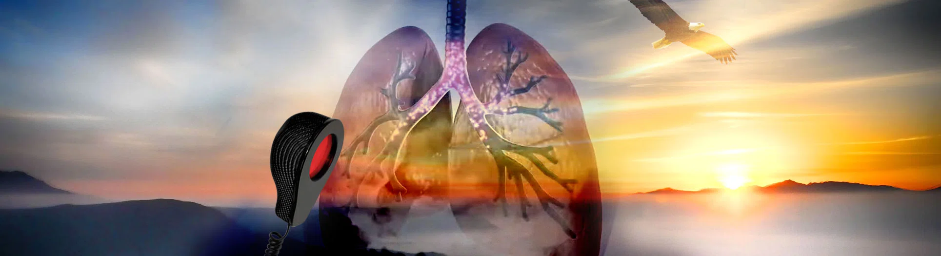 COPD: A DEBILITATING BREATHLESS STRUGGLE, cure, Biohacking, Airnergy, Longevity COPD: A DEBILITATING BREATHLESS STRUGGLE, Self-healing, regenerate, breathing