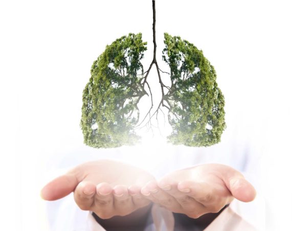 Dr. med. Martin Gschwender, Self-healing, regenerate, breathing