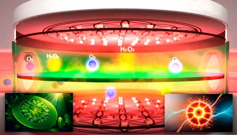 How Airnergy increases vital capacity, Self-healing, regenerate, breathing