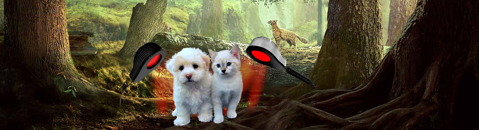 Vet-Stream, pure nature for animals, natürlich kurieren, Biohacking, Airnergy, Longevity Bild zu Vet-Stream, pure nature for animals, Zellatmung, Selbstheilung, Regeneration, Atmen