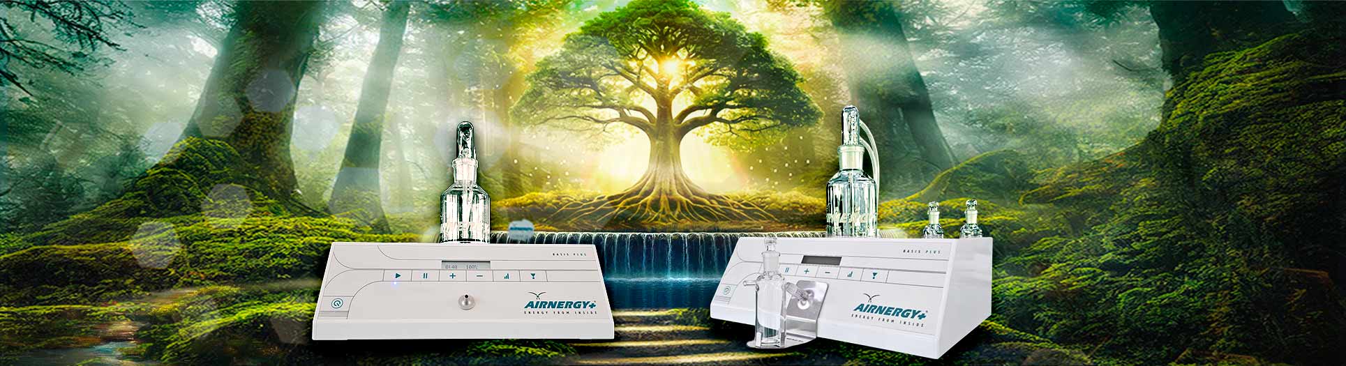 BASIS PLUS, natürlich kurieren, Biohacking, Airnergy, Longevity Bild zu BASIS PLUS, Zellatmung, Selbstheilung, Regeneration, Atmen
