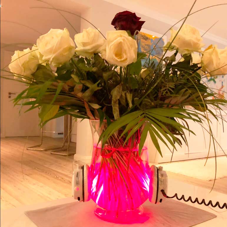 Keeping plants fresh