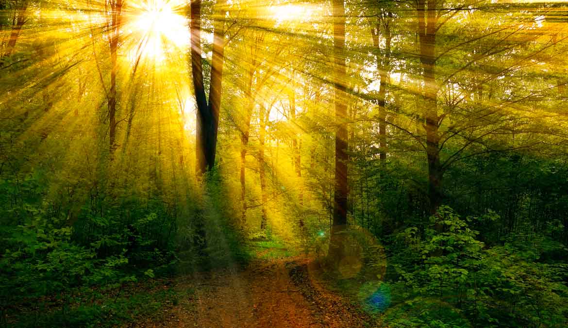 Waldbaden-Atem-Therapie-COPD Waldbaden-Atem-Therapie-COPD