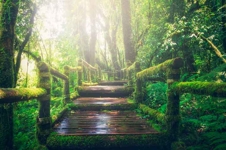 waldbaden-arbeitsatmosphaere-airnergy waldbaden-arbeitsatmosphaere-airnergy