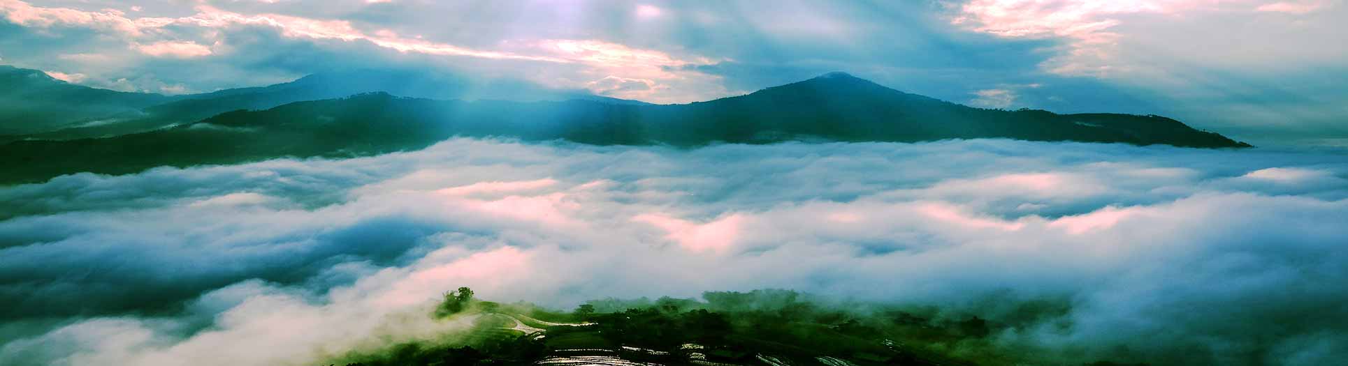 CHI IN LITTLE ATMOS, Zellatmung, Selbstheilung, Regeneration, Atmen
