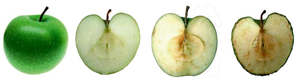 Keeping apples fresh / Airnergy Keeping apples fresh - Airnergy