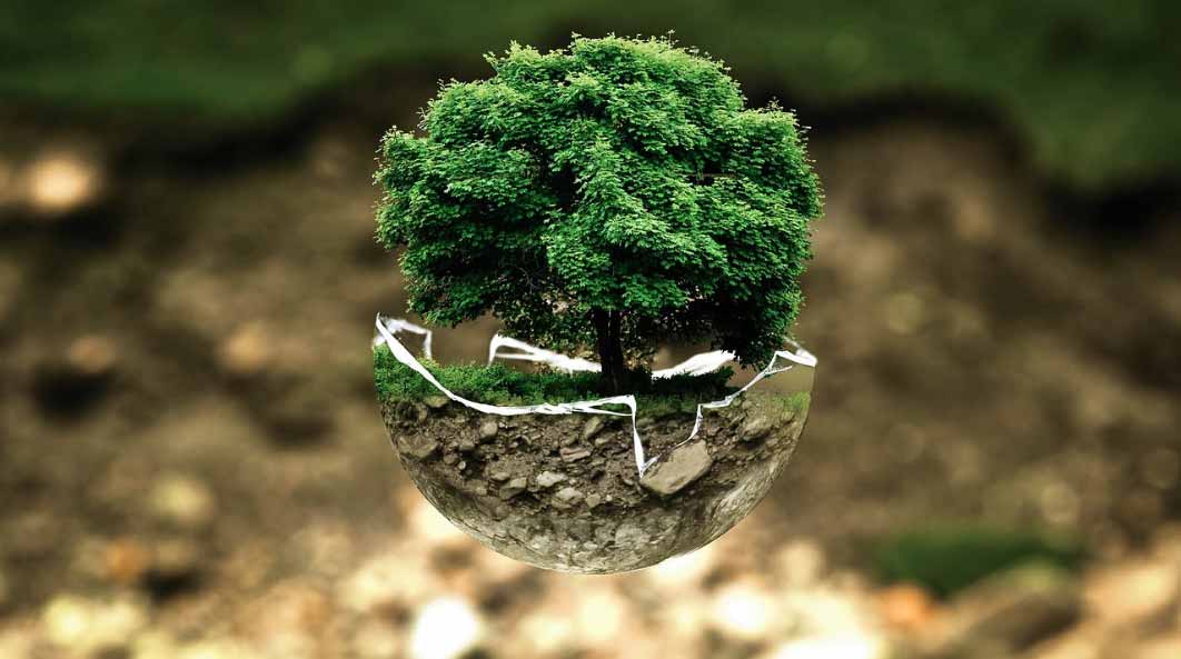 green tree - earth, breathing, atmosphere, preventive, acute, curative, healthy with Airnergy