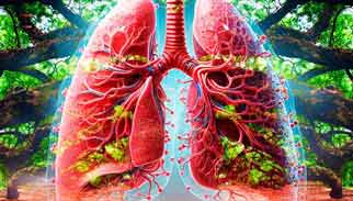 copd, Chronic Obstructive Pulmonary Disease (COPD), Strengthening, therapy, airnergy-stream