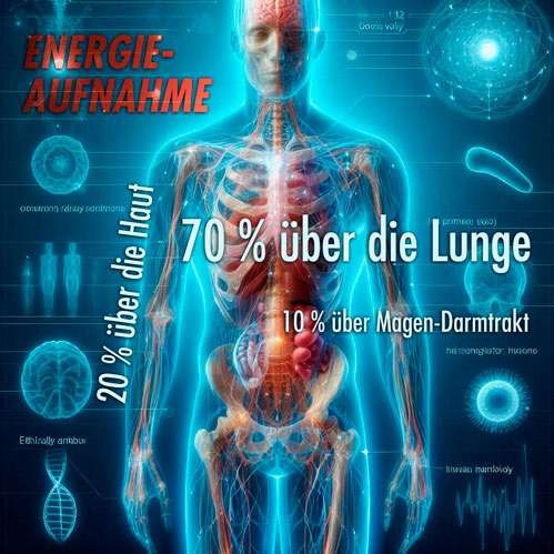 Store gland healthy with spirovitalization, indoor forest bathing, breathing, Airnergy Store gland in the brain Healthy with spirovitalization, indoor forest bathing, breathing, Airnergy