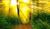 Sonne, Licht und Leben, healing your self, Regeneration, Atmen