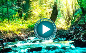 healing your self, Regeneration, Atmen
